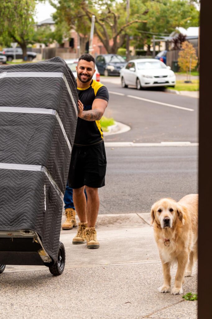 Removalist moving a wrapped household item on a dolly during a home move, with a family dog at the front door
